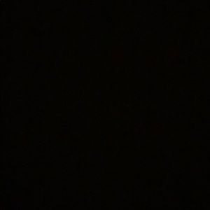 Meet your Posher, Millie